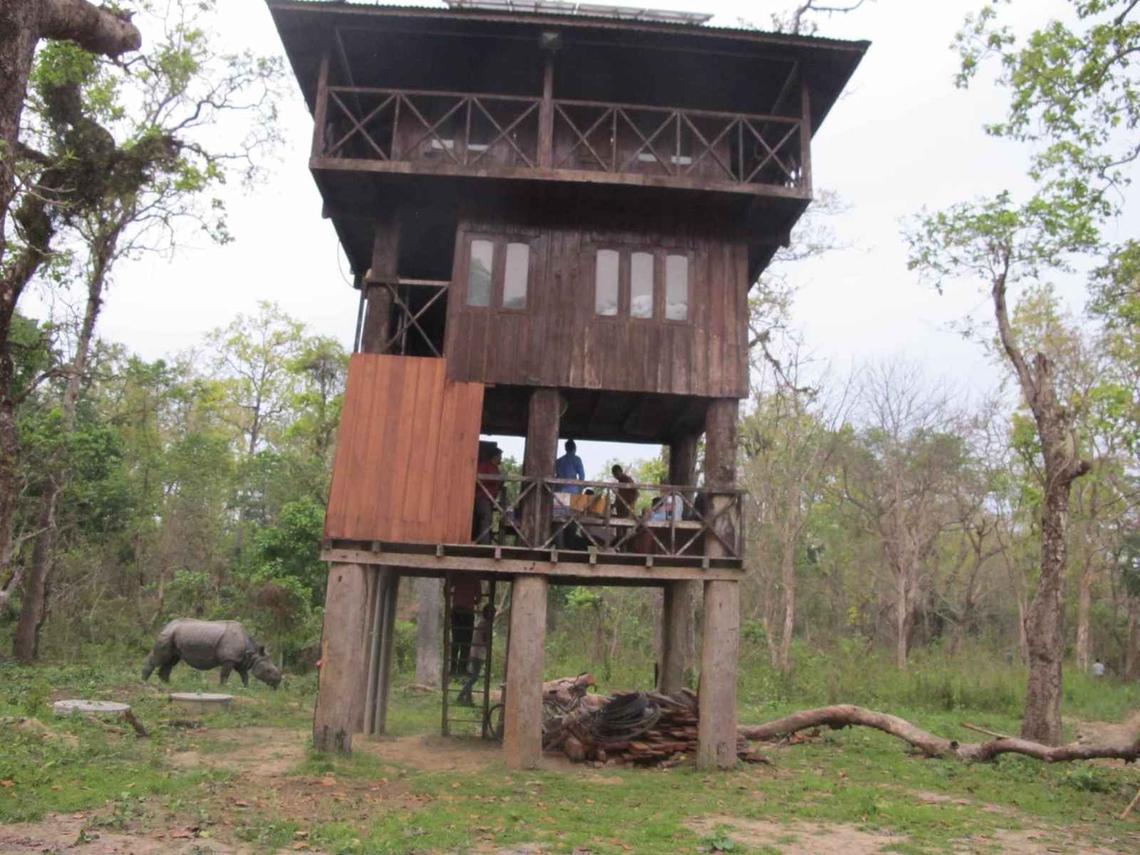 Tower Night Stay